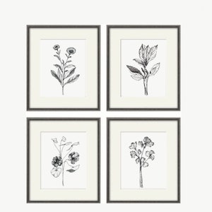 Impresión floral minimalista Botánica en blanco y negro CONJUNTO DE 4 IMPRIMIBLES Juego de 4 ilustraciones de dibujo de flores con bocetos en gris