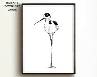 Op de afbeelding: Zwart-witte lijntekening van een steltloper met lange poten die op één poot staat.