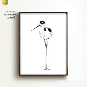 Dibujo a pluma y tinta, póster de pájaro, decoración de pared, grande, en blanco y negro, decoración de pared nórdica, escandinava, arte de pájaro en blanco y negro, arte de pared de pájaro IMPRIMIBLE