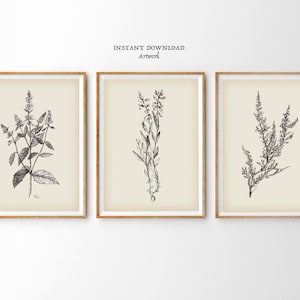 Original Wildflower BOTANICAL Print Set of 3 piece PRINTABLE Wild Flower Art vintage antique style home decor Farmhouse rustic wall decor