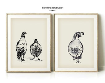 California Quail Yard ART Quail wall art set of 2 print Quail artwork line art drawing Gambels quail DIGITAL Instant DOWNLOAD quail yard art