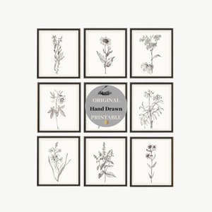 Black and white botanical prints set 9 print black white botanical sketch floral set 9 drawing DIGITAL DOWNLOAD PRINTABLE downloadable b&w
