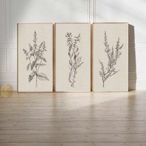 SET of 3 piece Tall Long Vertical Narrow Wall Art Print Vintage flower sketch set of three PRINTABLE Botanical Drawing Digital Download