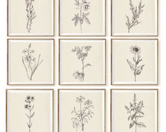 Set di stampe artistiche di schizzi vintage di 9, stampe botaniche antiche, decorazioni murali floreali neutre, set di disegni stampabili quadrati