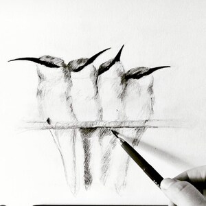 Vogel DRUCKBAR Vogel Kunst Skizze DOWNLOAD Vogel Bleistift HAND Zeichnungen sofortiger Digitaler großer Vogel Bild-Illustration neutral realistische Kunstwerk