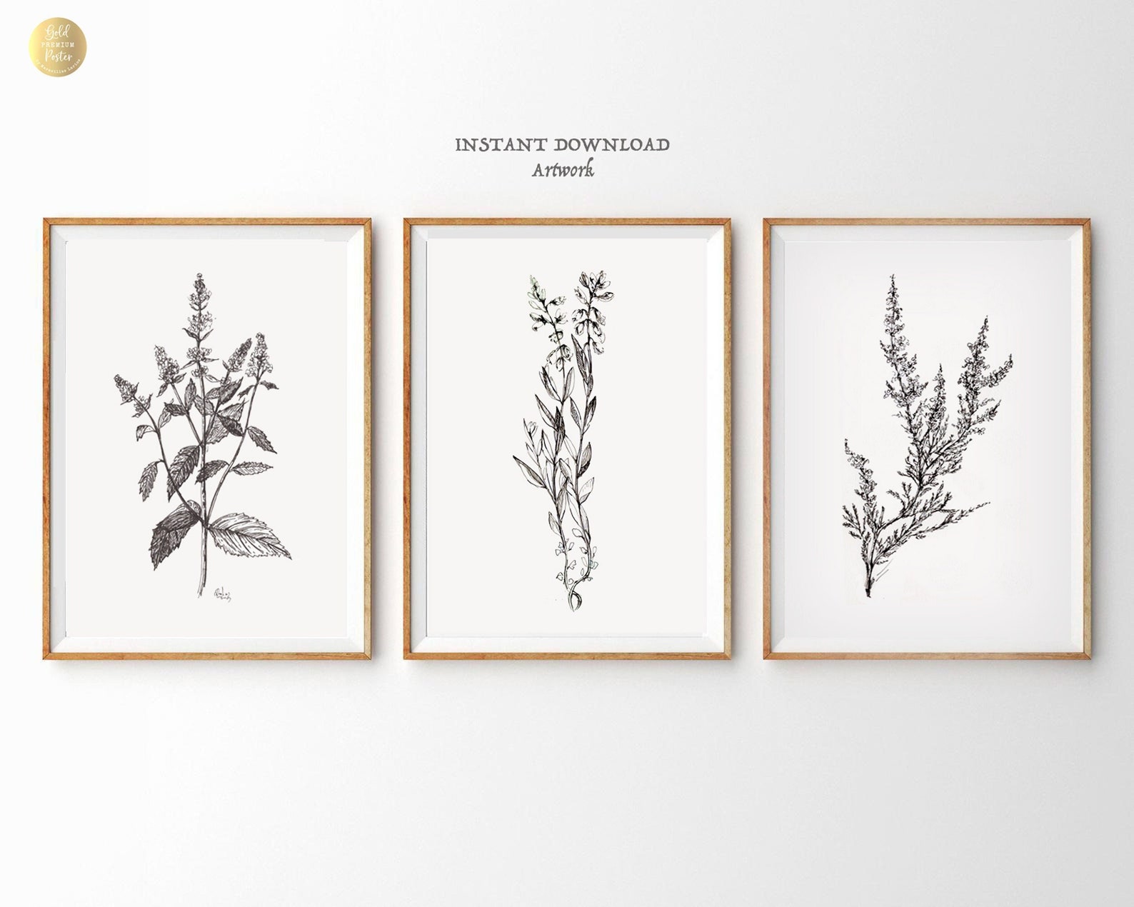 Set of 3 Minimalist Plants PRINTABLE Monochrome Botanical - Etsy