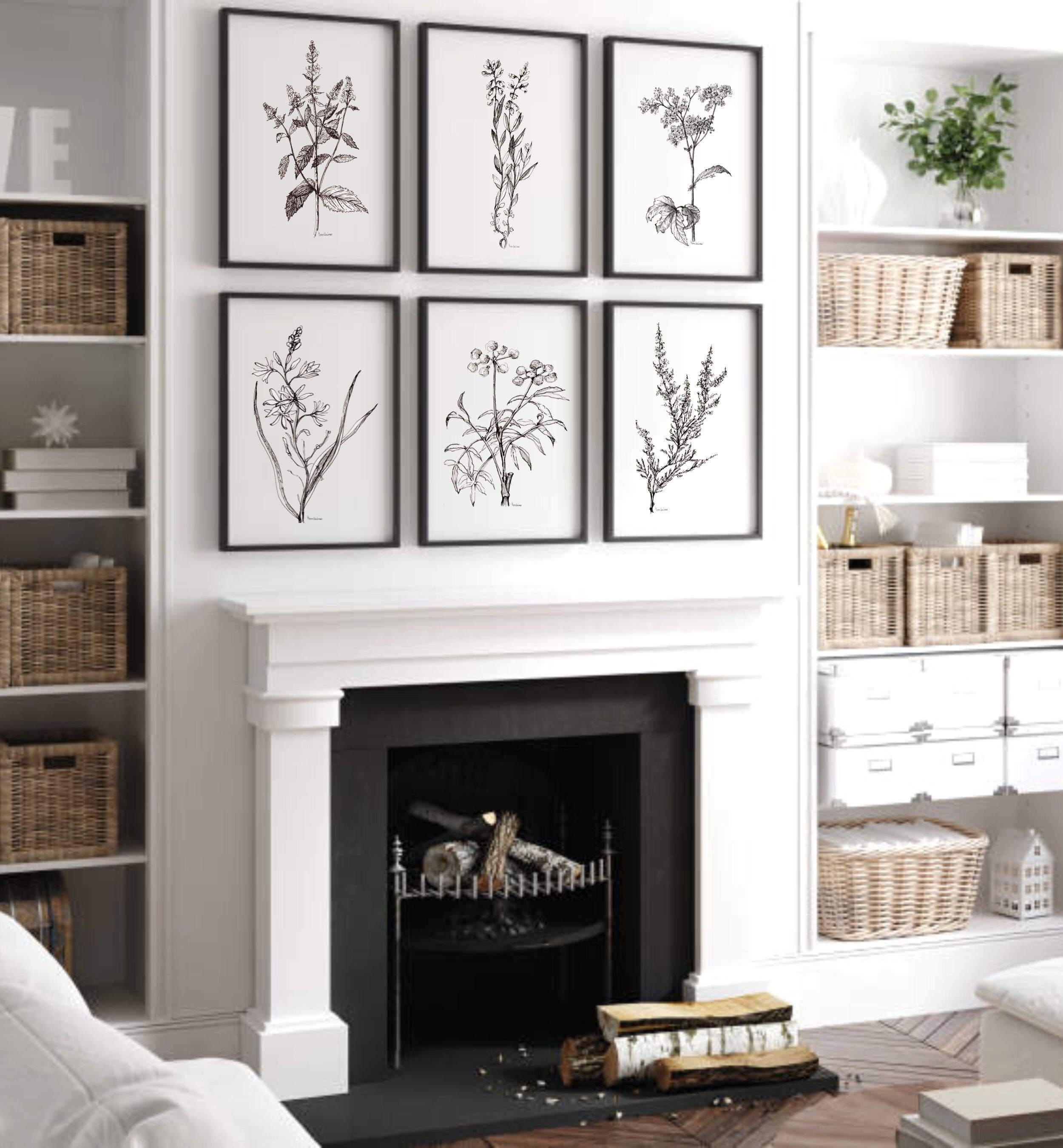 Black and White BOTANICAL Print Set of 6 Ink Drawing Printable ...