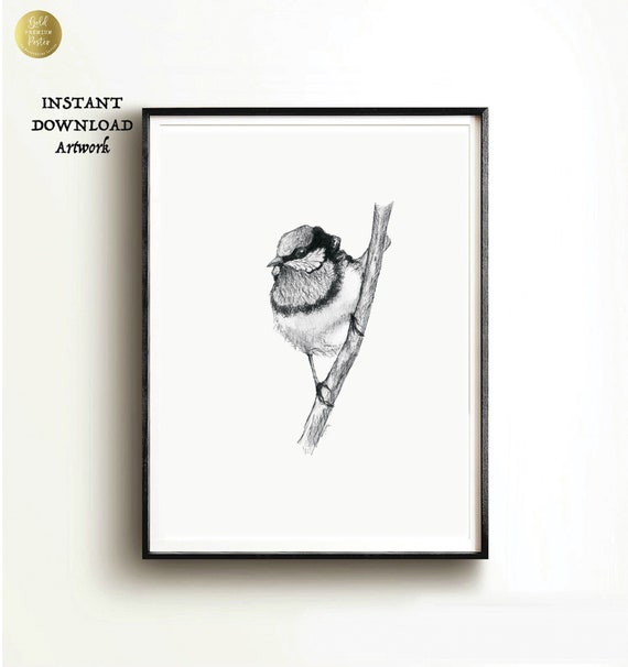 Black and White Bird Art PRINTABLE Wall Art Pen and Ink - Etsy