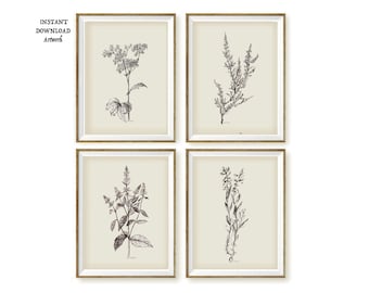 Vintage FLoral Sketch art Botanical Gallery Wall Print SET, Rustic Wall Decor PRINTABLE, set of 4 prints Minimal Modern Farmhouse wall decor