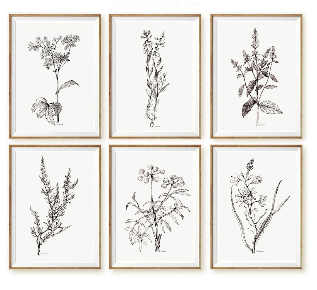 Black and White Botanical Print Set 6 Print Black White Botanical ...