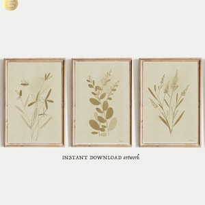 Neutral Kräuter Herbst Dekor Herbst Dekor Vintage Herbst Herbst Herbst sepia Herbst Dekor sepia neutral Herbst Dekor