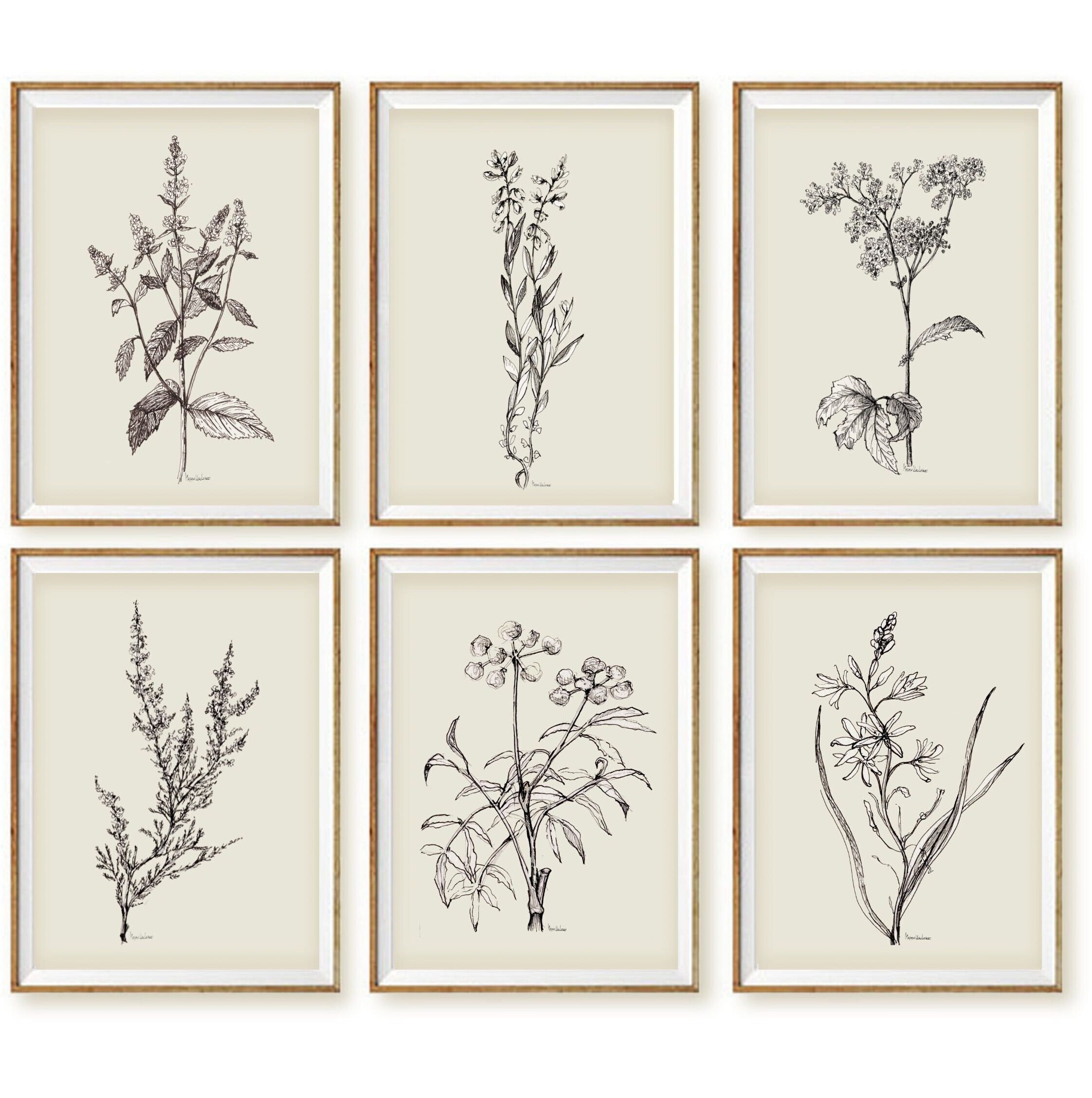 Black and White Botanical PRINT SET of 6 Print Sketch Art - Etsy