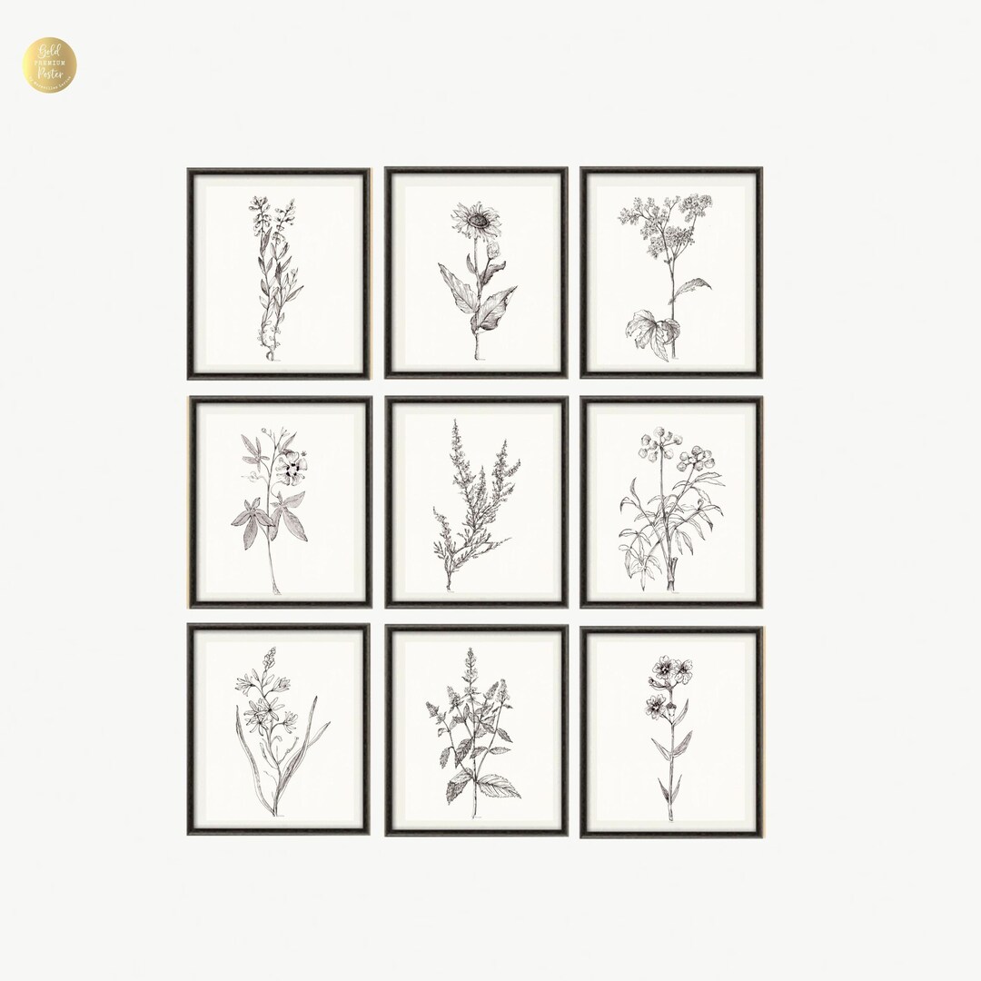 HERBS Sketch Black and White Herb Drawing DOWNLOAD Plant Print Etsy