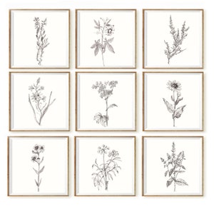 SQuare Black and white botanical print set 9 print black white botanical sketch floral set 9 drawing DIGITAL DOWNLOAD PRINTABLE downloadable
