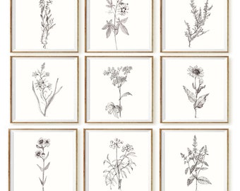 HERBS sketch Black white minimalist herb Plant print Herb set of nine piece Herbs Wall art Kitchen Print Set 9 Herb poster Drawing PRINTABLE