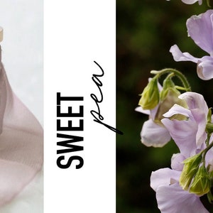 Sweet Pea Sheer Silk Ribbon 100% Silk Chiffon Mauve Wedding bridal bouquet, invitations, wedding favors image 3
