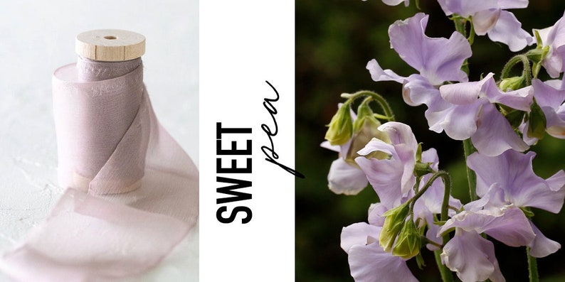 Sweet Pea Sheer Silk Ribbon 100% Silk Chiffon Mauve Wedding bridal bouquet, invitations, wedding favors image 3