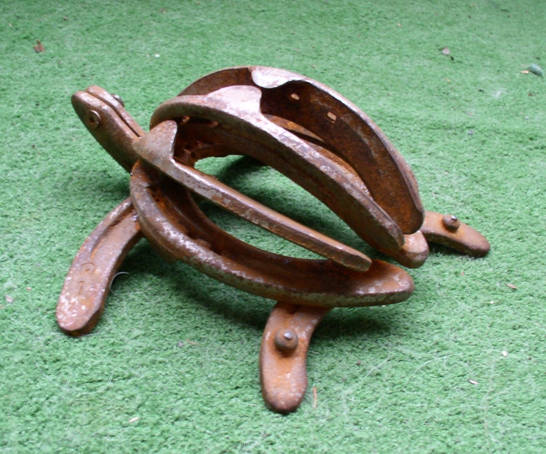 Horseshoe Turtle Welded Yard and Garden Art Sea Turtle Etsy