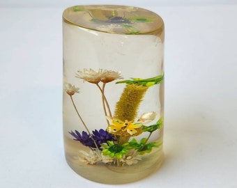 Retro Daisyglas Lucite Paperweight Dried Flowers Butterfly Mushroom