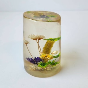 Retro Daisyglas Lucite Paperweight Dried Flowers Butterfly Mushroom