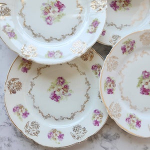 Beautiful Art Nouveau Antique 7.5&quot; Dessert Plate Set (7) Zeh Scherzer Z.S. & Co Bavariaware
