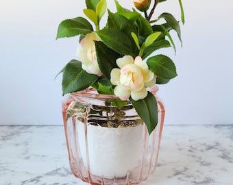Pode incluir: Um vaso de vidro rosa com interior branco, cheio de uma pequena planta de camélia artificial com flores brancas e rosas e folhas verdes.