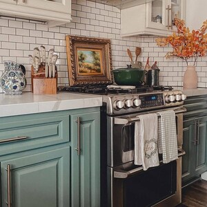 May include: A stainless steel double oven with a black glass cooktop. The oven has a digital display and is set into a green kitchen cabinet. There are two white towels hanging from the oven door.