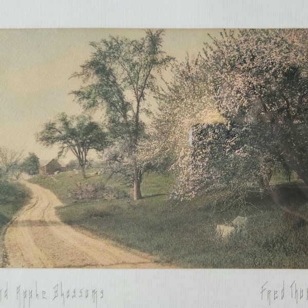 Fred Thompson Signed Hand-Colored Antique Photograph Elms & Apple Blossoms Rural Maine Countryside
