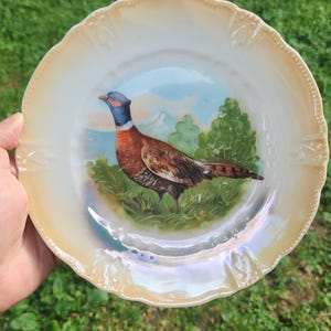 Antique Pheasant Lustreware Decorative 7&quot; Cabinet Plate Germany