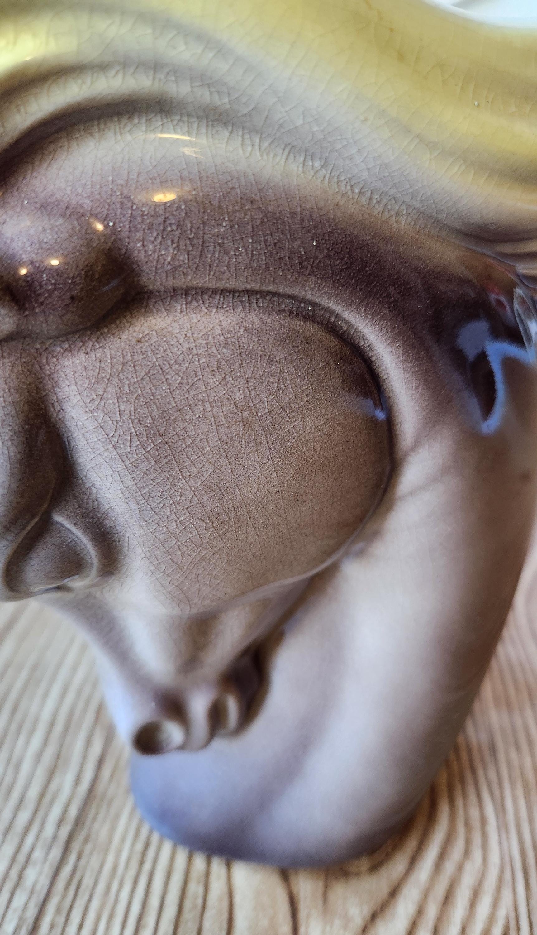 ヴィンテージ ロイヤルコプリー 馬頭花瓶、ミッドセンチュリー