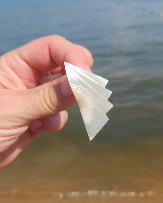 Large Carved Shell Vintage Statement Earrings | B… - image 2