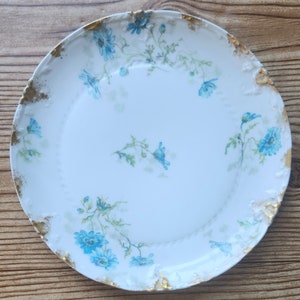 SALE⬇️Haviland France プレート　5枚　Limoges Vintage Theodore Haviland Limoges France Set of 5 Lunch