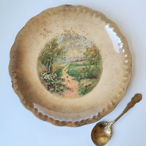 Beautifully Aged Edwardian Antique Shabby Chic Scalloped Ribbon Mold Pink Roses Lustreware Ironstone Plate D.E. McNicol Pottery