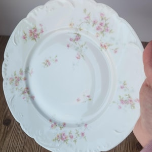 Puede incluir: Un plato de porcelana blanca con un delicado patrón floral de flores rosas y amarillas. El plato tiene un borde festoneado y un borde elevado.