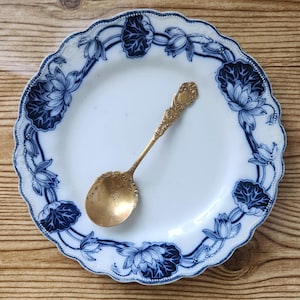 Antique Water Lily Pattern Flow Blue & White China 9" Plate