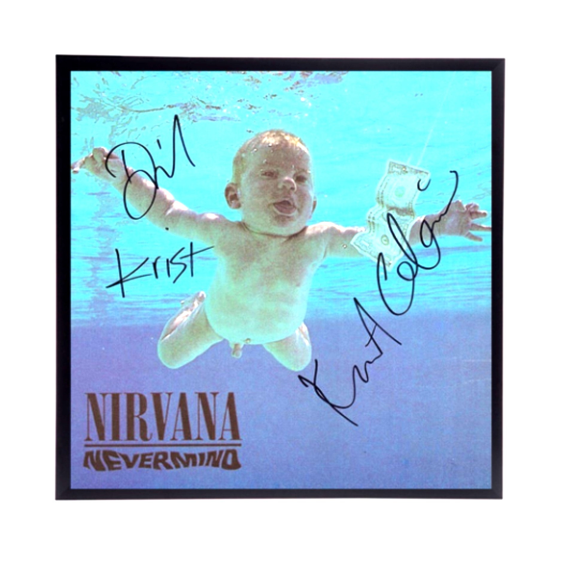 Sold at Auction: Dave Grohl Signed Nirvana Nevermind Vinyl LP Certified