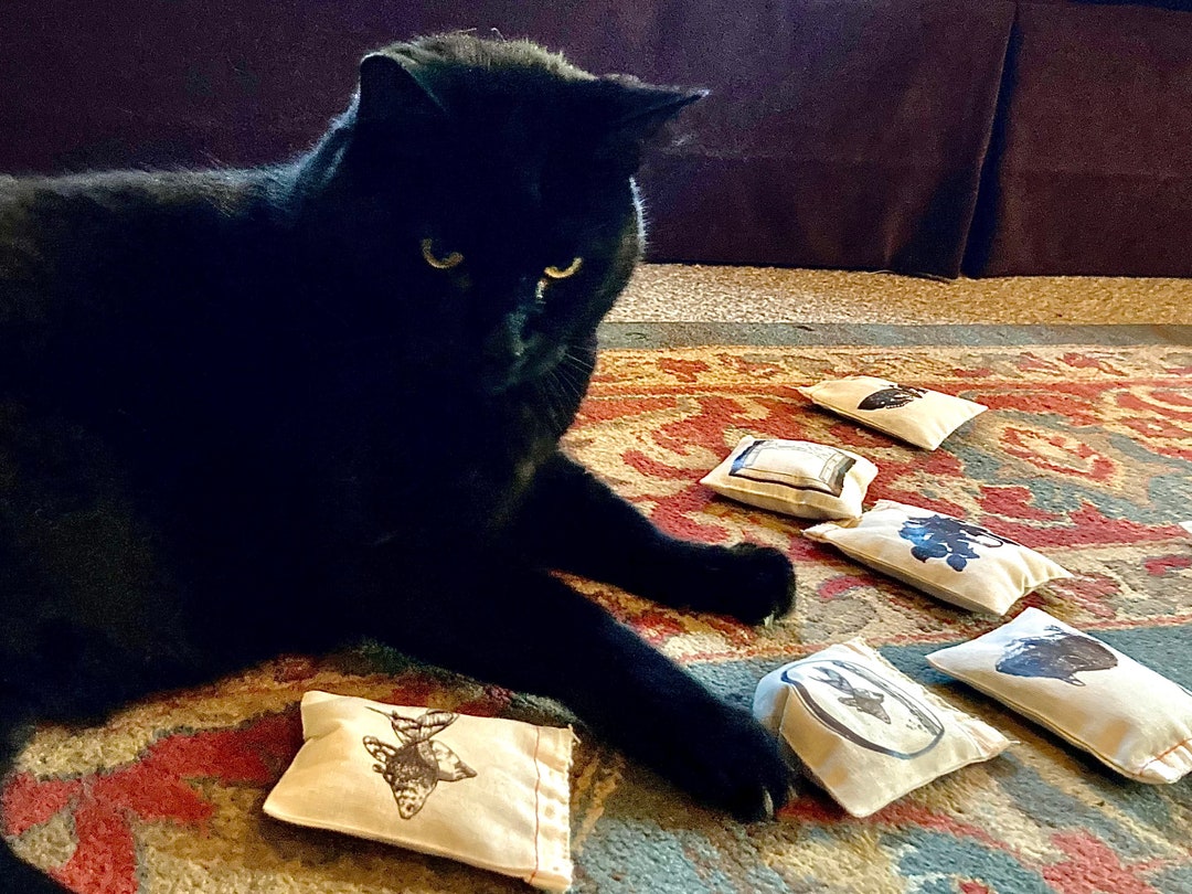 Feline Oracle Catnip Runes Cat Divination Set Etsy