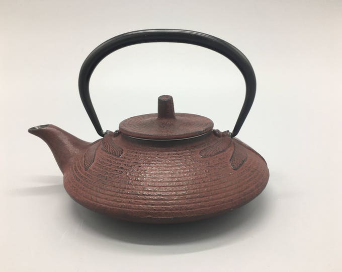 Iwachu Japanese Cast Iron Teapot. Dragonfly Cast Iron Tea Etsy