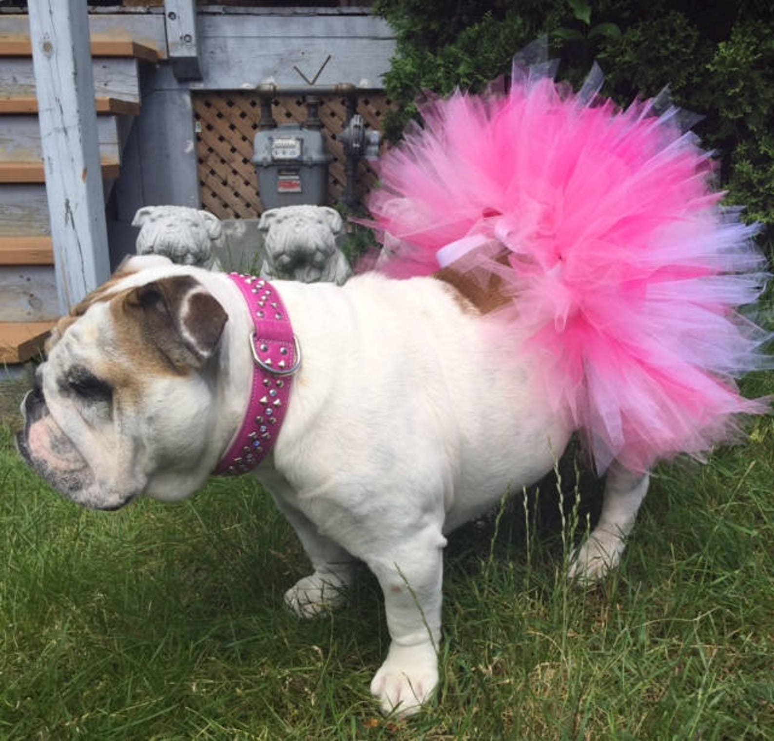 Tutu Pretty in Pink dog tutu baby tutu pet costume Etsy