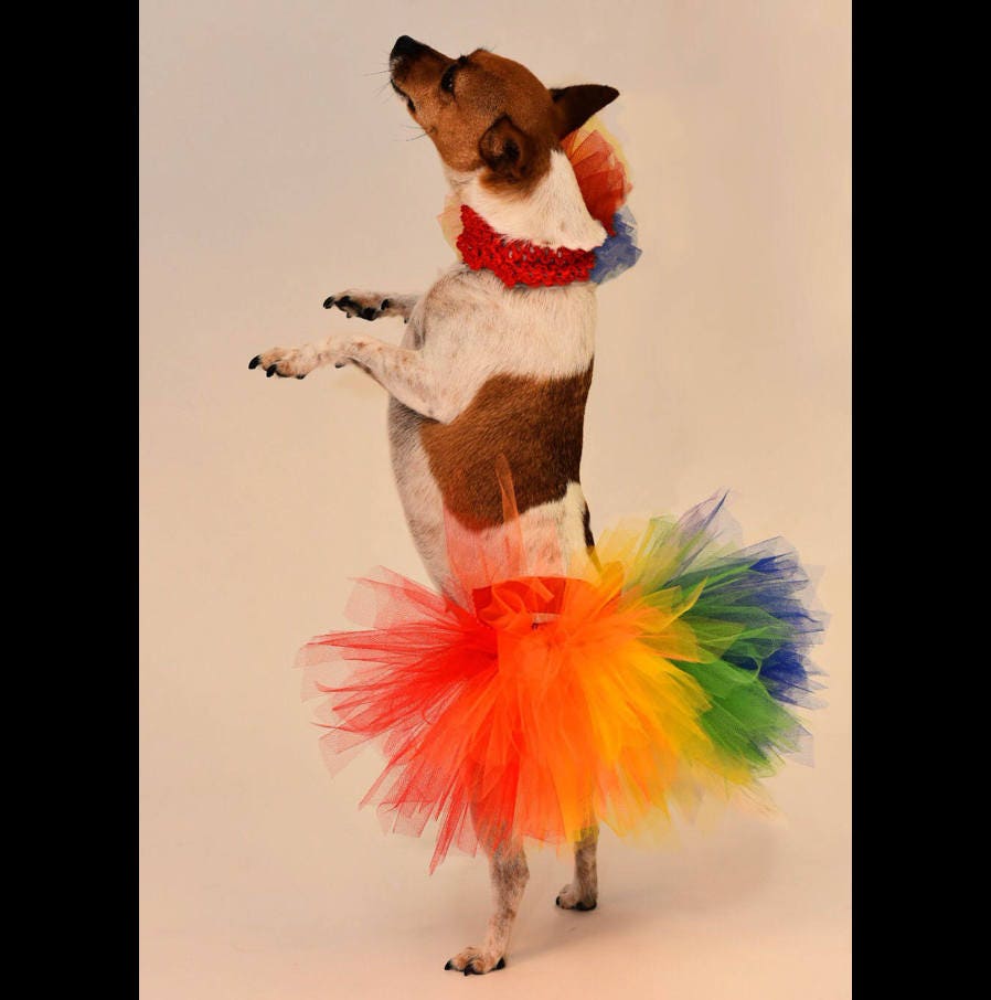 Tutu Pride Rainbow Dog Tutu Baby Tutu Pet Costume Etsy