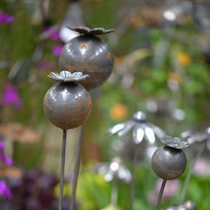 Poppy Plant Stakes