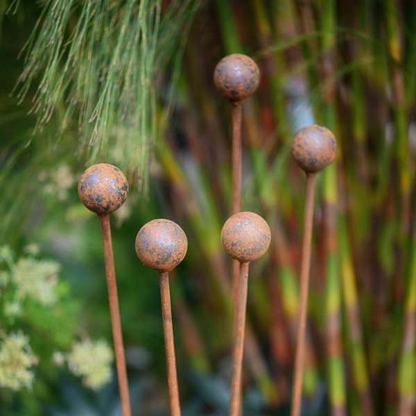 Sphere Plant Support