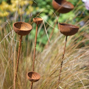 May include: Five rusty metal cups on tall stems are arranged in a field of tall, dry grass. The cups are different sizes and shapes, and they are all rusted and weathered.