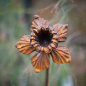 Rusty Daffodil Plant Stake image 2