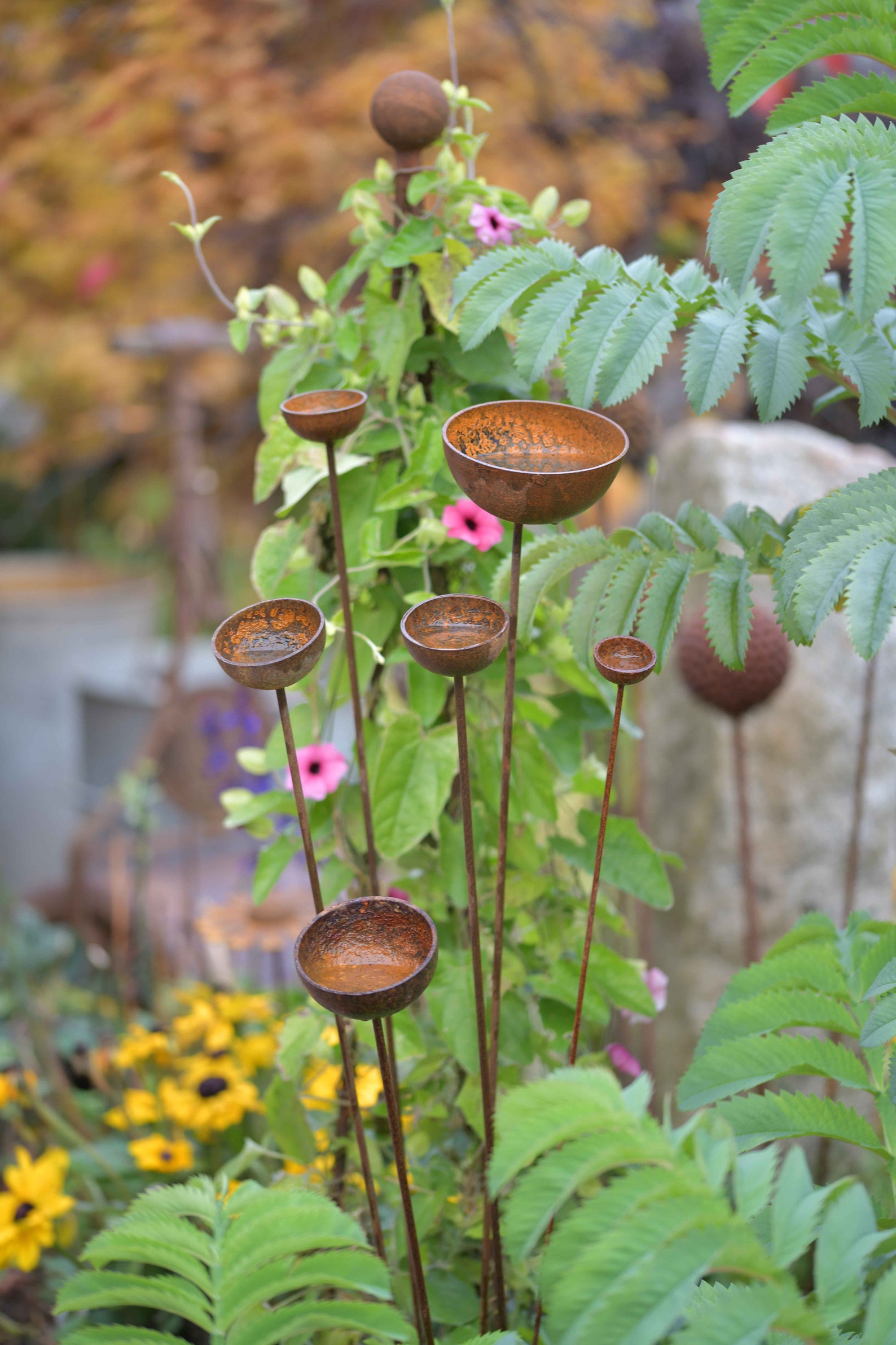 Rain Catcher Collection