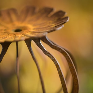 Escultura de flor de amapola oxidada