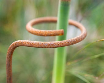 Half Spiral Plant Support