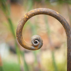 Ladrón de linternas