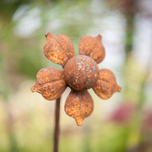 Rusty Flower Plant Stake