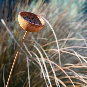Petite Rain Catchers